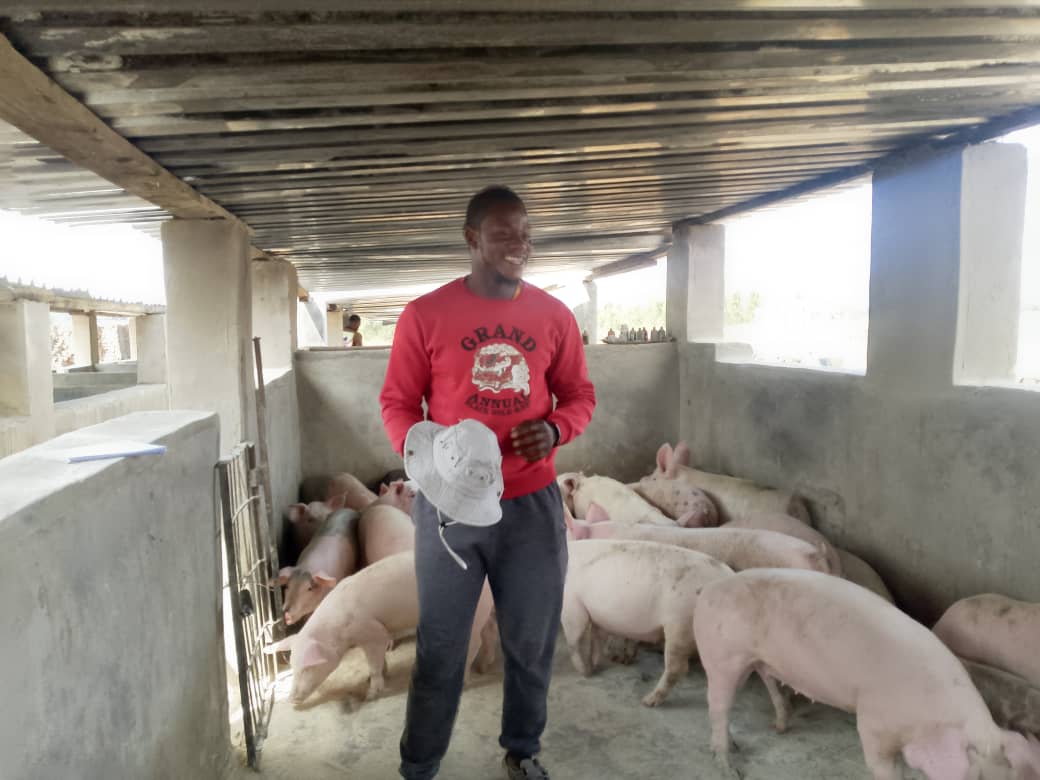 Young farmer strikes gold in pig breeding
