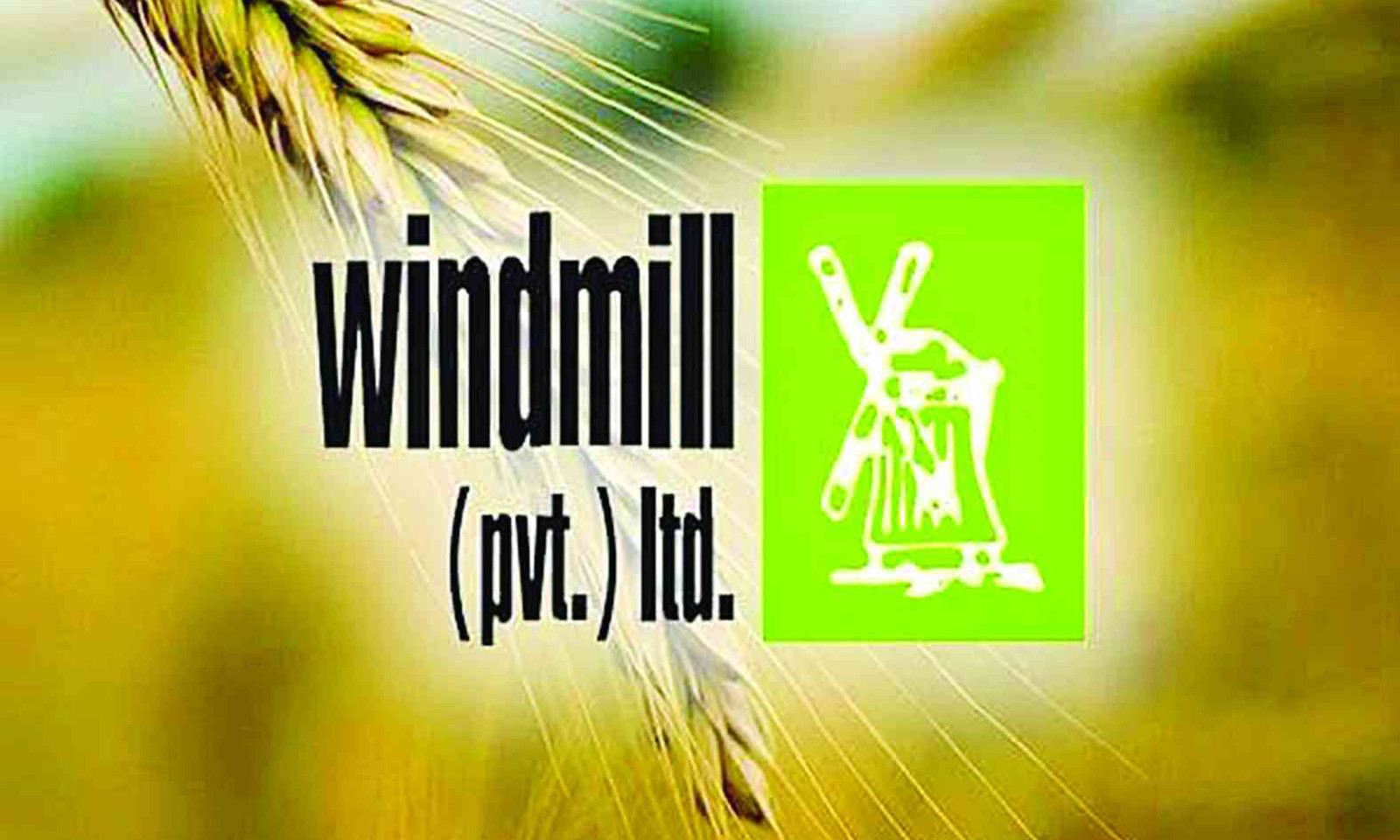 Land barons invade Windmill’s land property