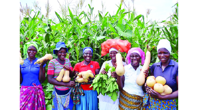 Agribusiness an opportunity to unlock poverty alleviation doors