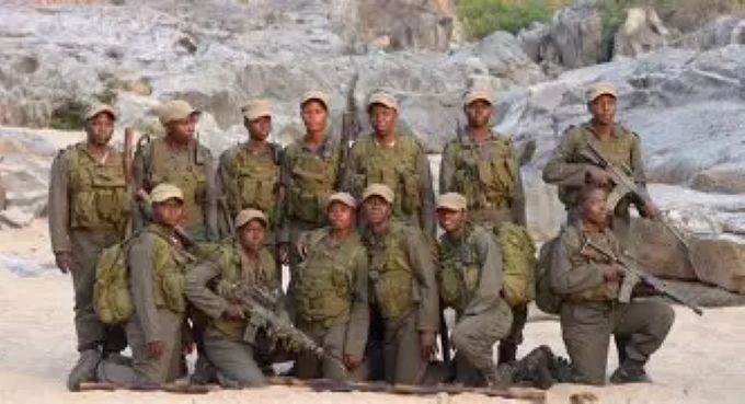 NPAZ, Akashinga strengthen alliance to tackle wildlife crime