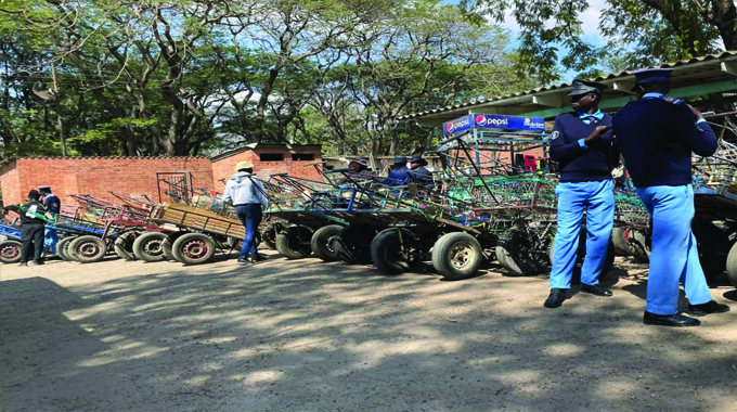 Over 100 carts impounded in municipal police blitz