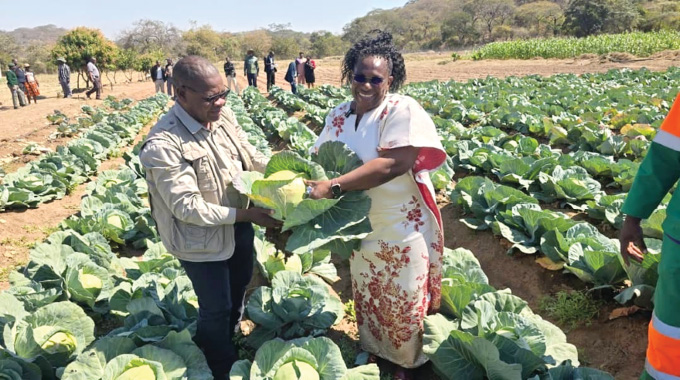 Agric ministry in bid to attract investors into rural areas