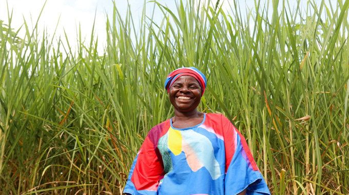 Turning wastelands into greenbelts through climate-smart agriculture in Mat South