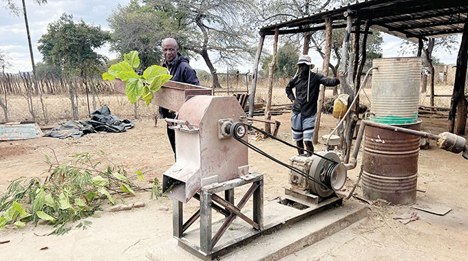 Esigodini farmer finds niche in dairy production