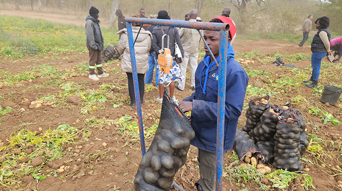 Turning wastelands into wetlands: How irrigation is transforming Zim’s drylands