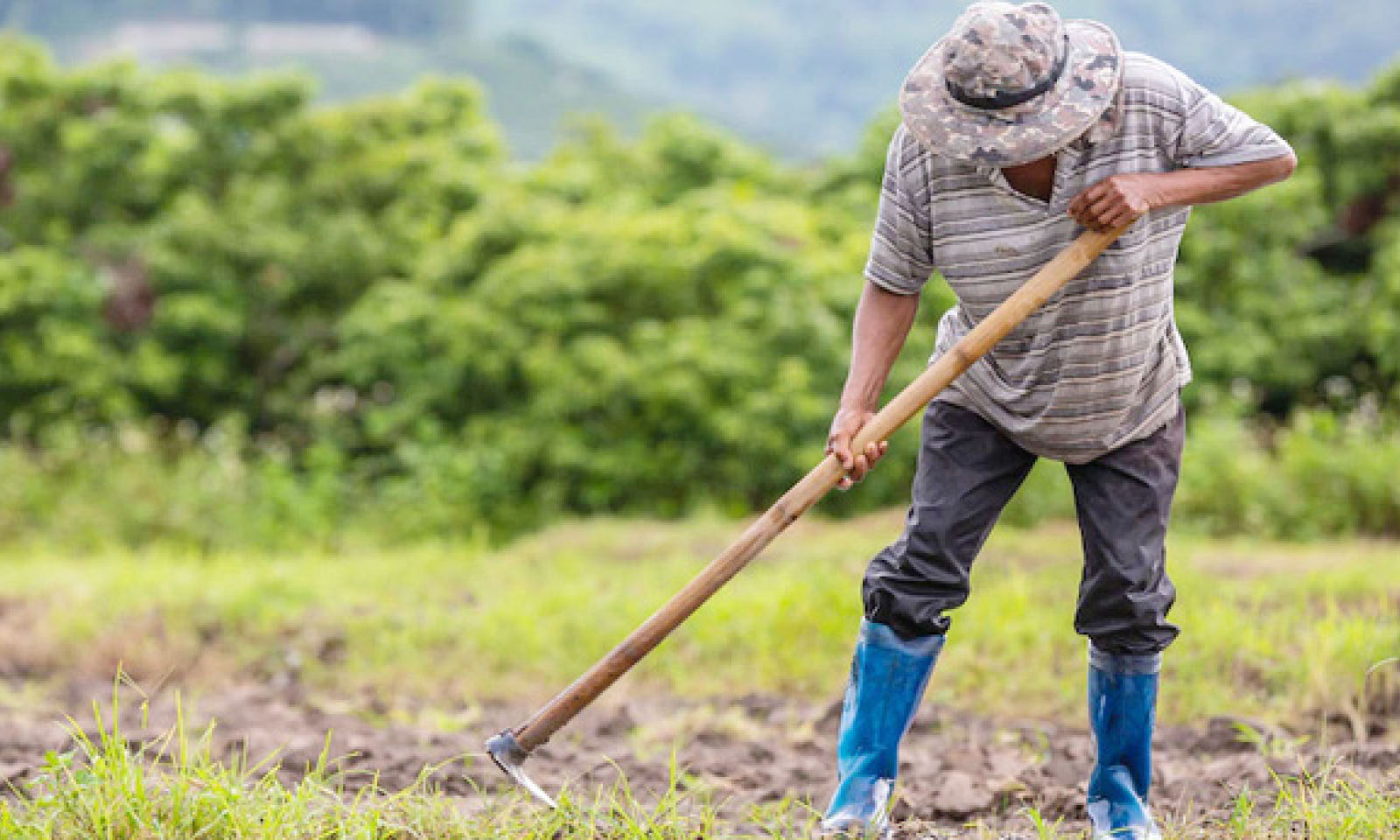 Building data-banks for rural markets: Unlocking Africa’s hidden credit potential