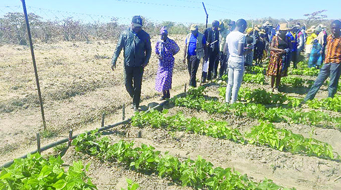 Zwevumba Garden boosts food security, income in Bulilima