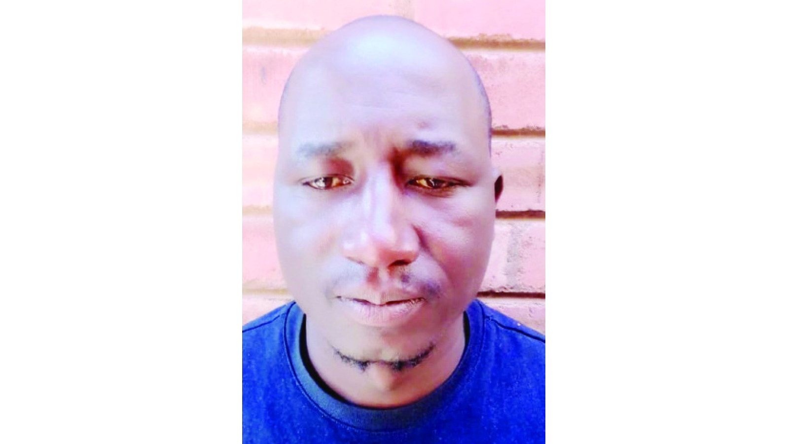 Gang nabbed for robbery