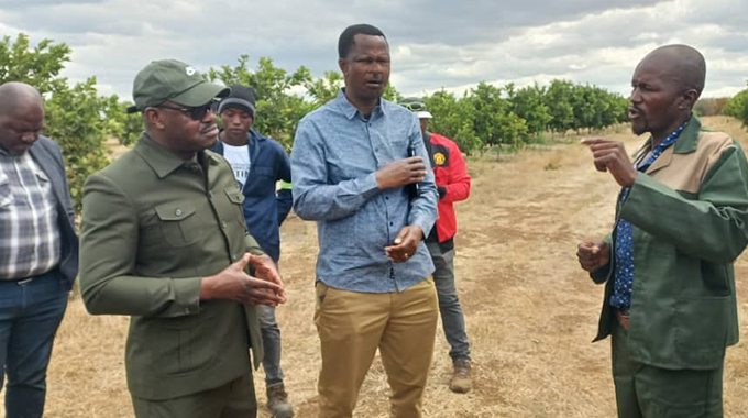 Zhovhe citrus project sets tone for rural transformation