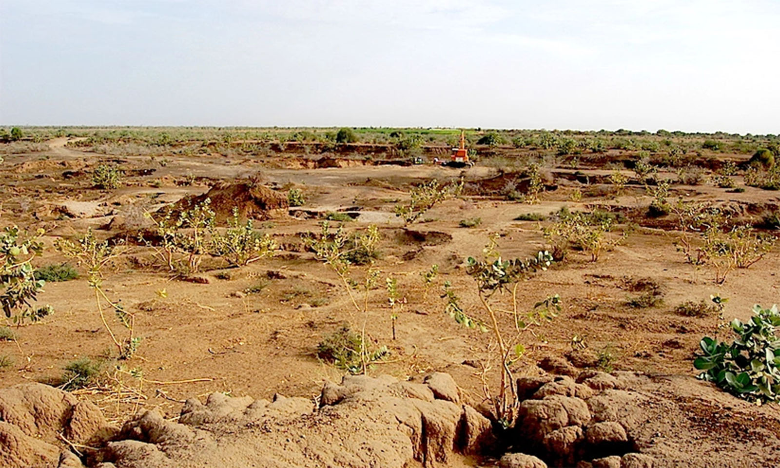 Reclaiming degraded rangelands: Lessons from across the Zambezi