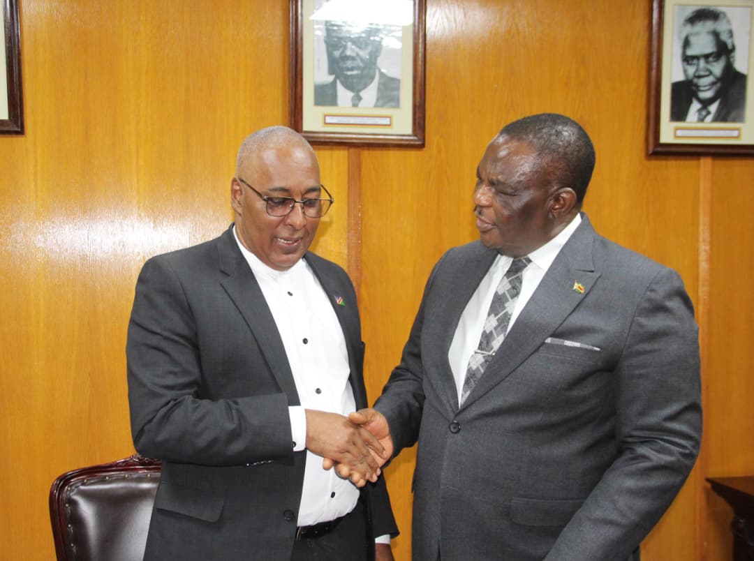 Outgoing Namibian Ambassador calls on Acting President
