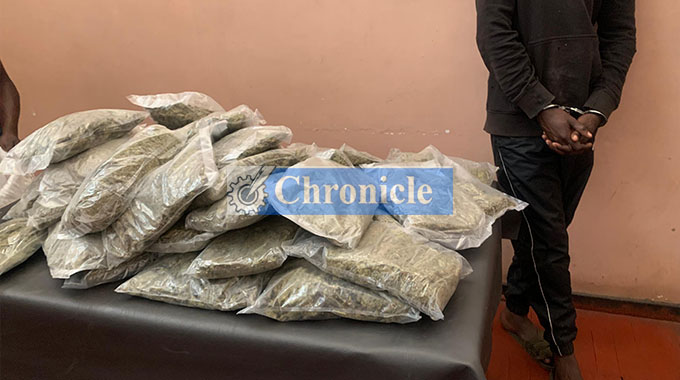 WATCH: Bulawayo police nab suspected drug dealer with 23kg dagga haul