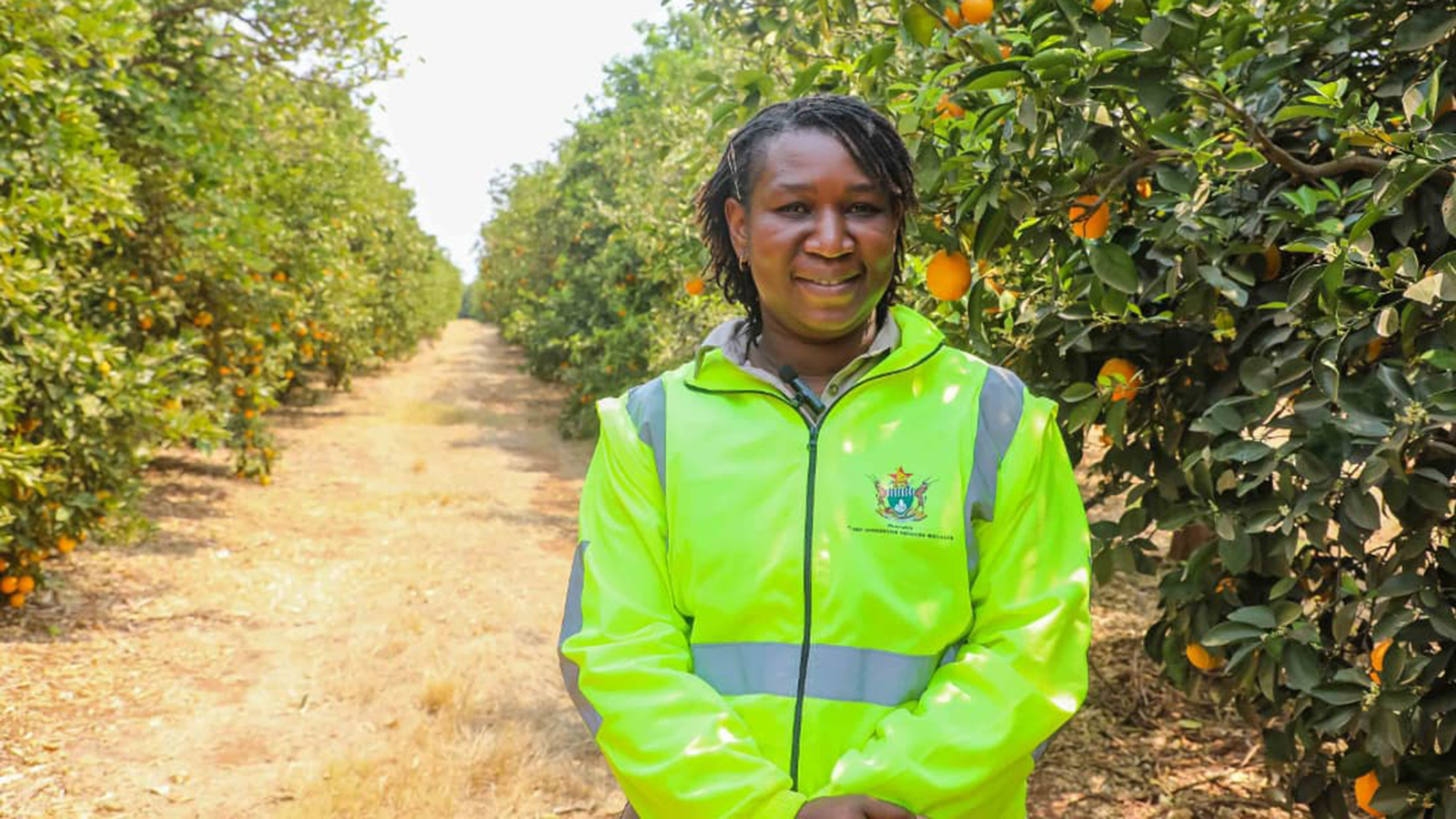 Pest surveillance goes digital