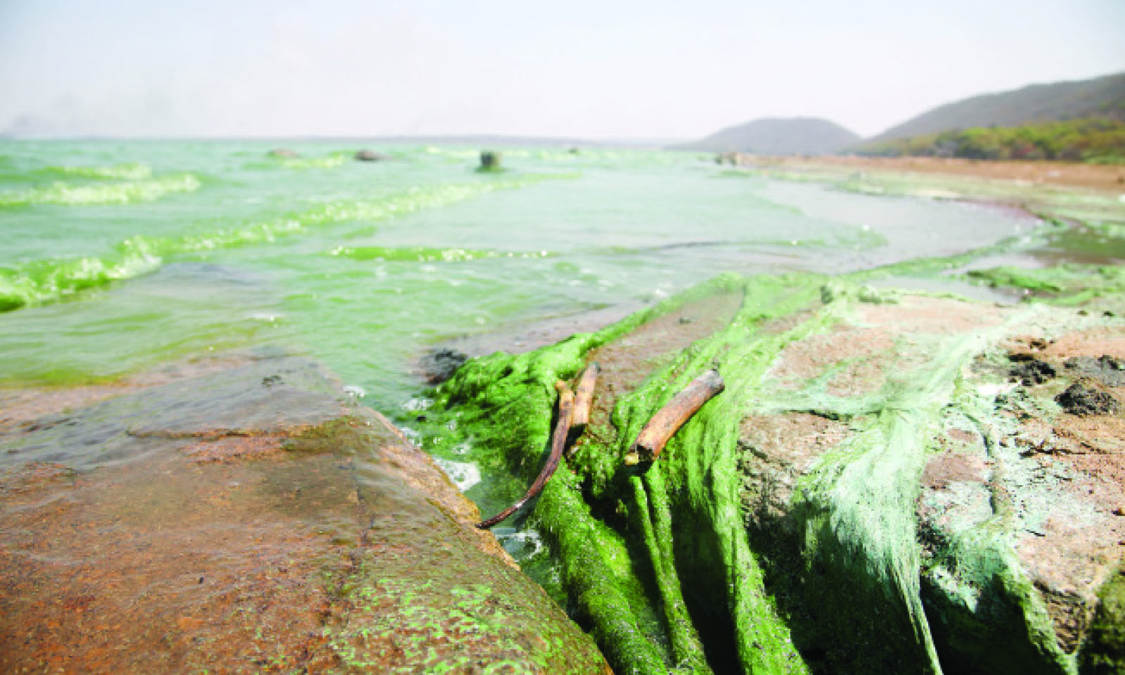 City moves to stop raw sewage flow into Lake Chivero