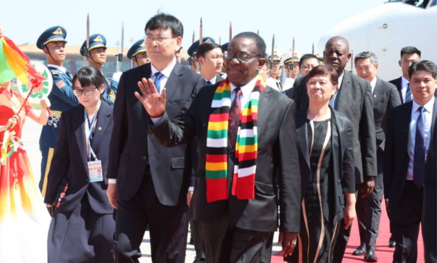 Zimbabwe’s economic growth boosted by deepening Chinese investment – Professor Murwira