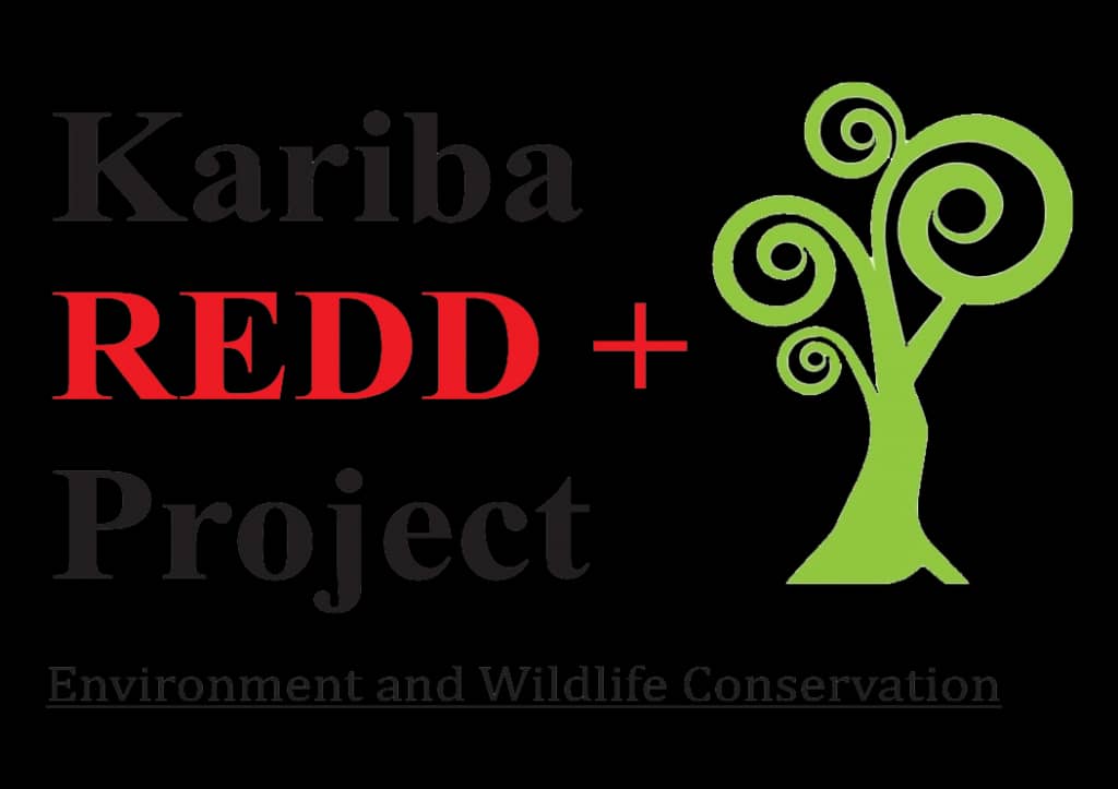 Kariba carbon credit cancellation exposes weaknesses in voluntary carbon markets