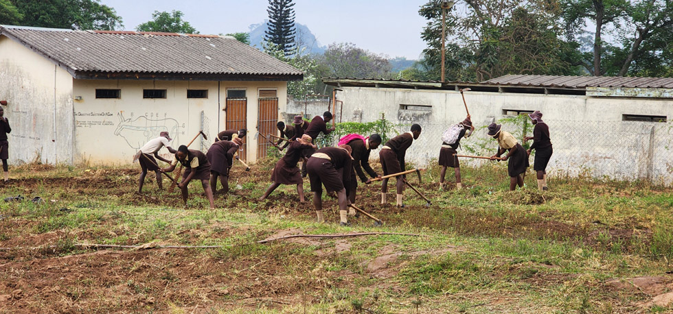 Learners undergo agriculture practical lessons