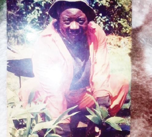 Peter Masamvu’s father, Tobias Mugwanyo (now late)taught his son how to care for plants