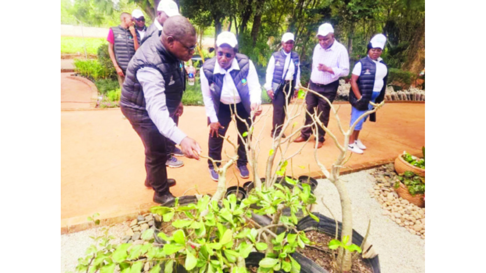 Innovative agroforestry transforms communities