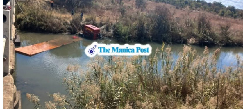 Invasive weed threatens Rusape River