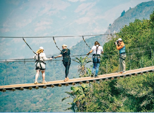 Zim is the safest tourist destination: Global buyers
