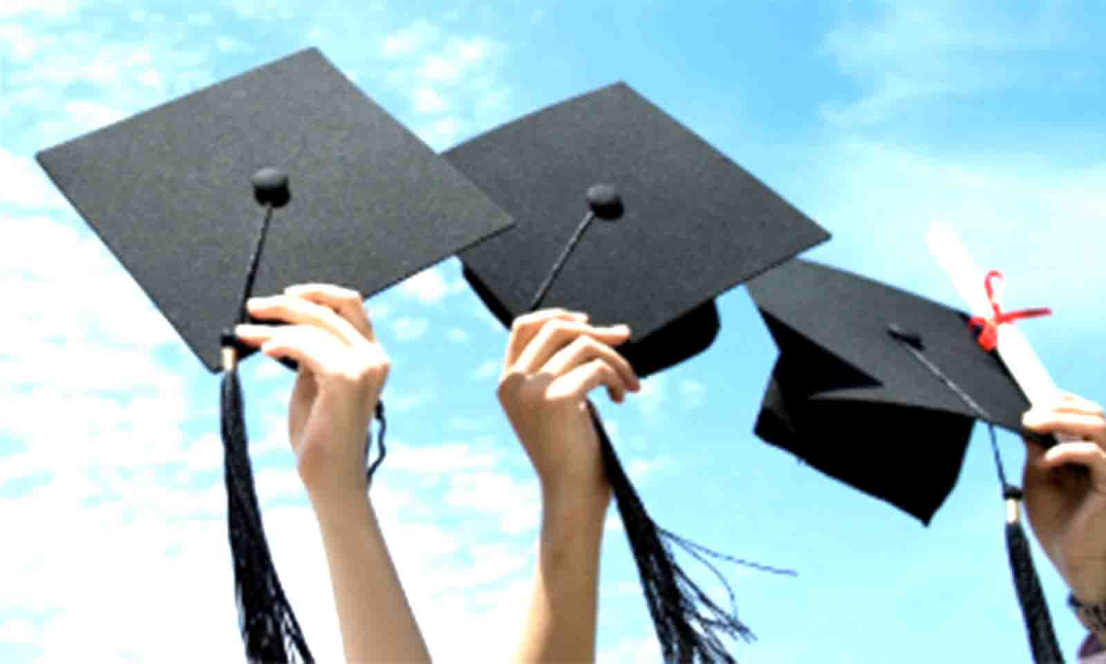 Education Coalition of Zimbabwe hosts indaba to address student challenges in tertiary institutions