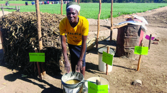 Ukufaka umquba wemvelo kuletha inzuzo kubalimi beGwanda