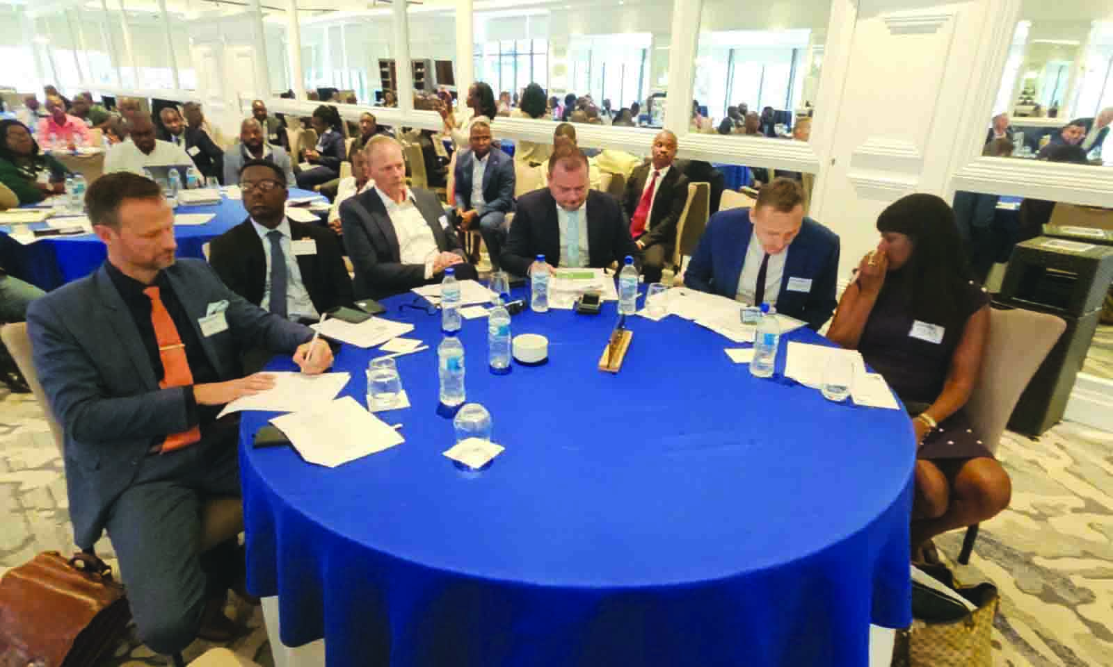 Govt pitches US$1,42bn plan to Danish agric investors