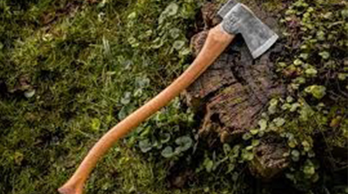 AXE AND ANGER! Man batters brother-in-law in vicious attack