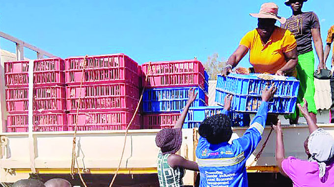 Zibagwe RDC invests US$50 000 in poultry and piggery projects to empower communities