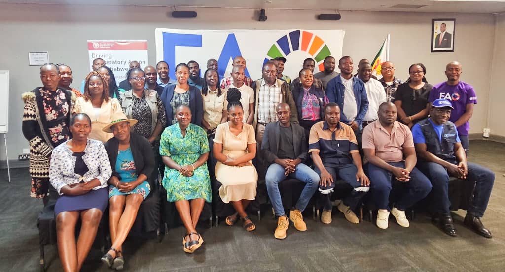 FAO, Government of Zimbabwe host GIS, Remote Sensing training in Bulawayo