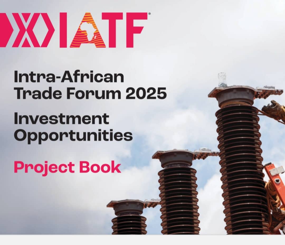ZIDA puts forward four key projects for IATF2025 showcase