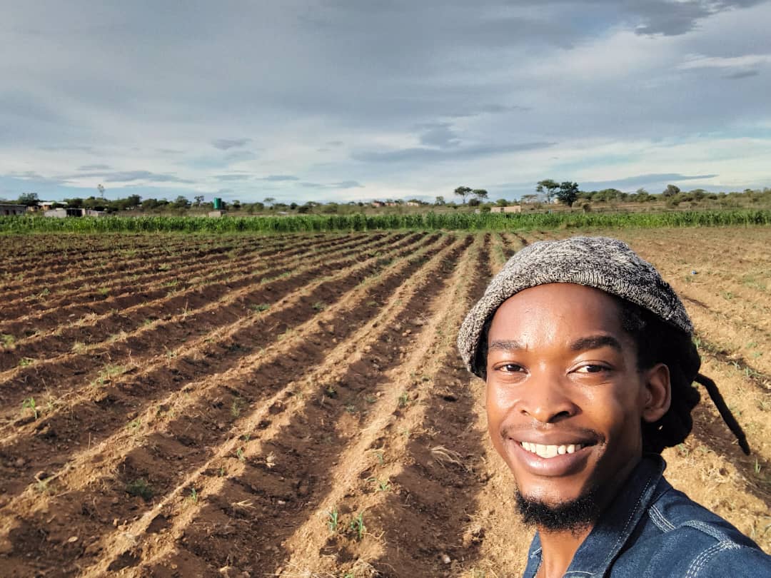 Kwethulwa umbukiso wemidwebo, kuhlonitshwa iNkosi uMzilikazi