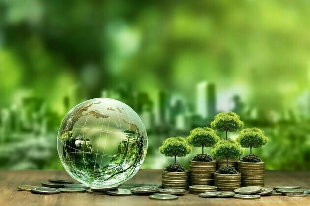 New report warns Africa on green deals