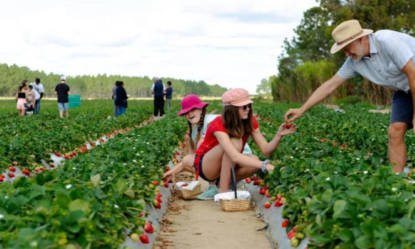 Diversifying farming with agro-tourism