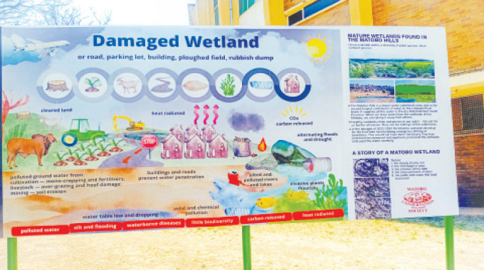 Wetland wonder rises at museum…Bulawayo’s urban oasis fights climate chaos