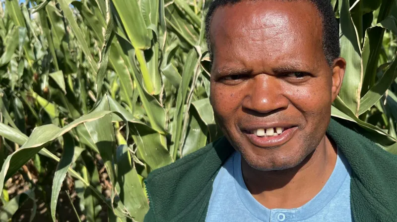 Zimbabwean farmer in UK honoured with royal visit for pioneering white maize production