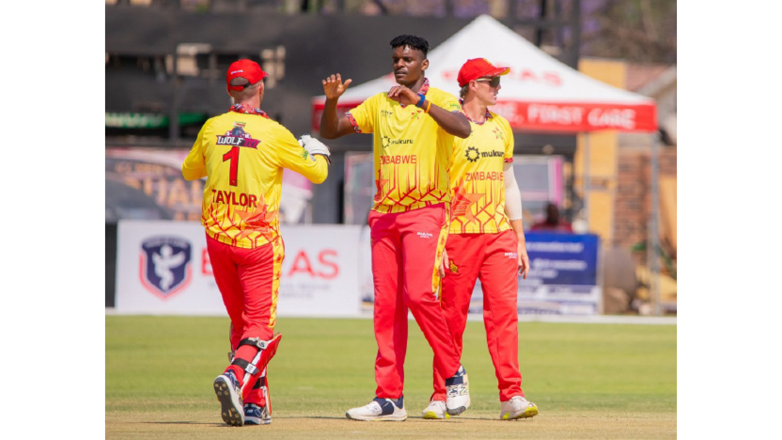 CHEVRONS CRUSH NAMIBIA . . .and wrap up T20I Series