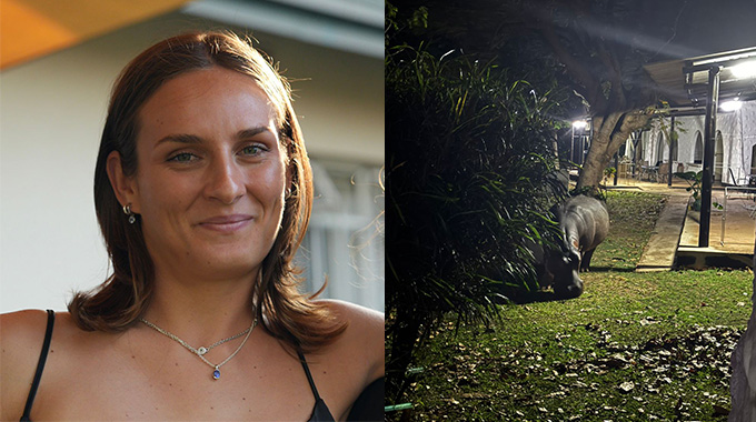 American tourist mauled by hippo in Kariba – Young woman’s brave rescue in Zimbabwe