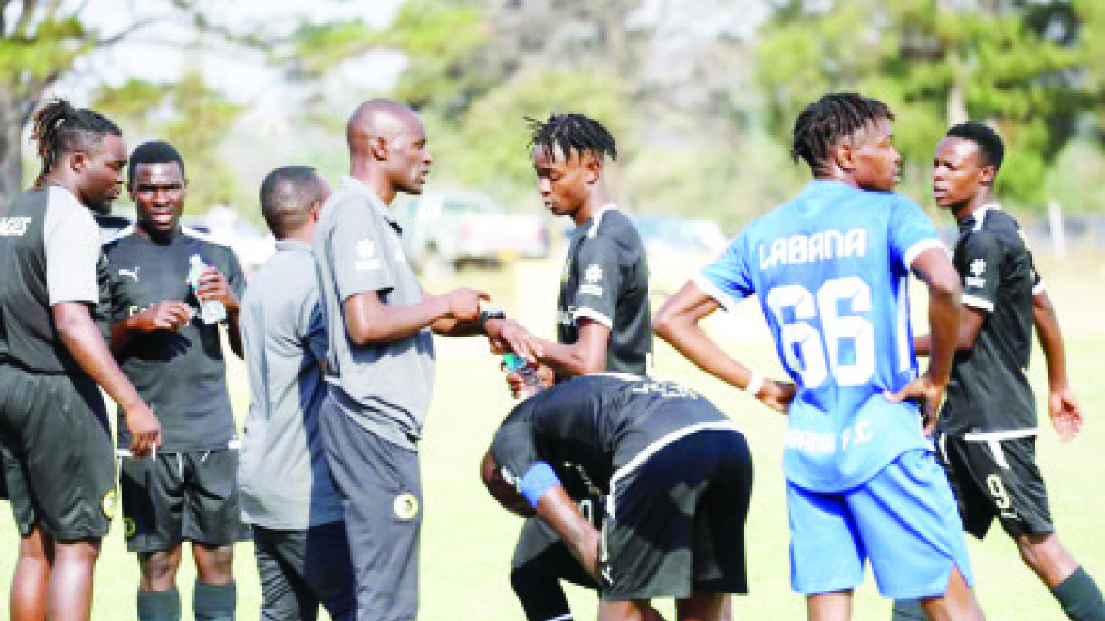 GOLDEN EAGLES REFUSE TO SURRENDER