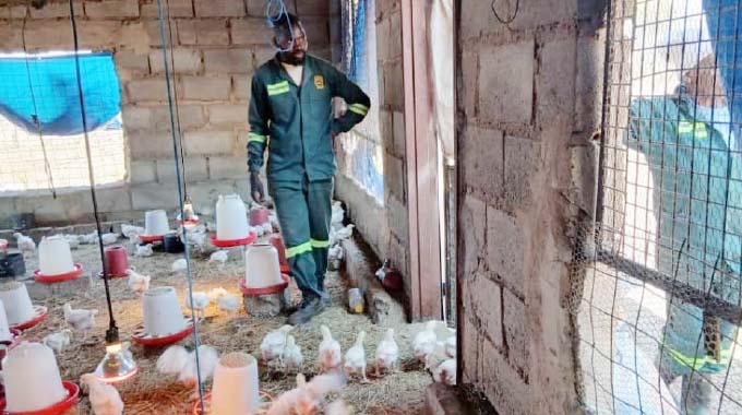 Dadaya High empowers learners through innovative poultry project