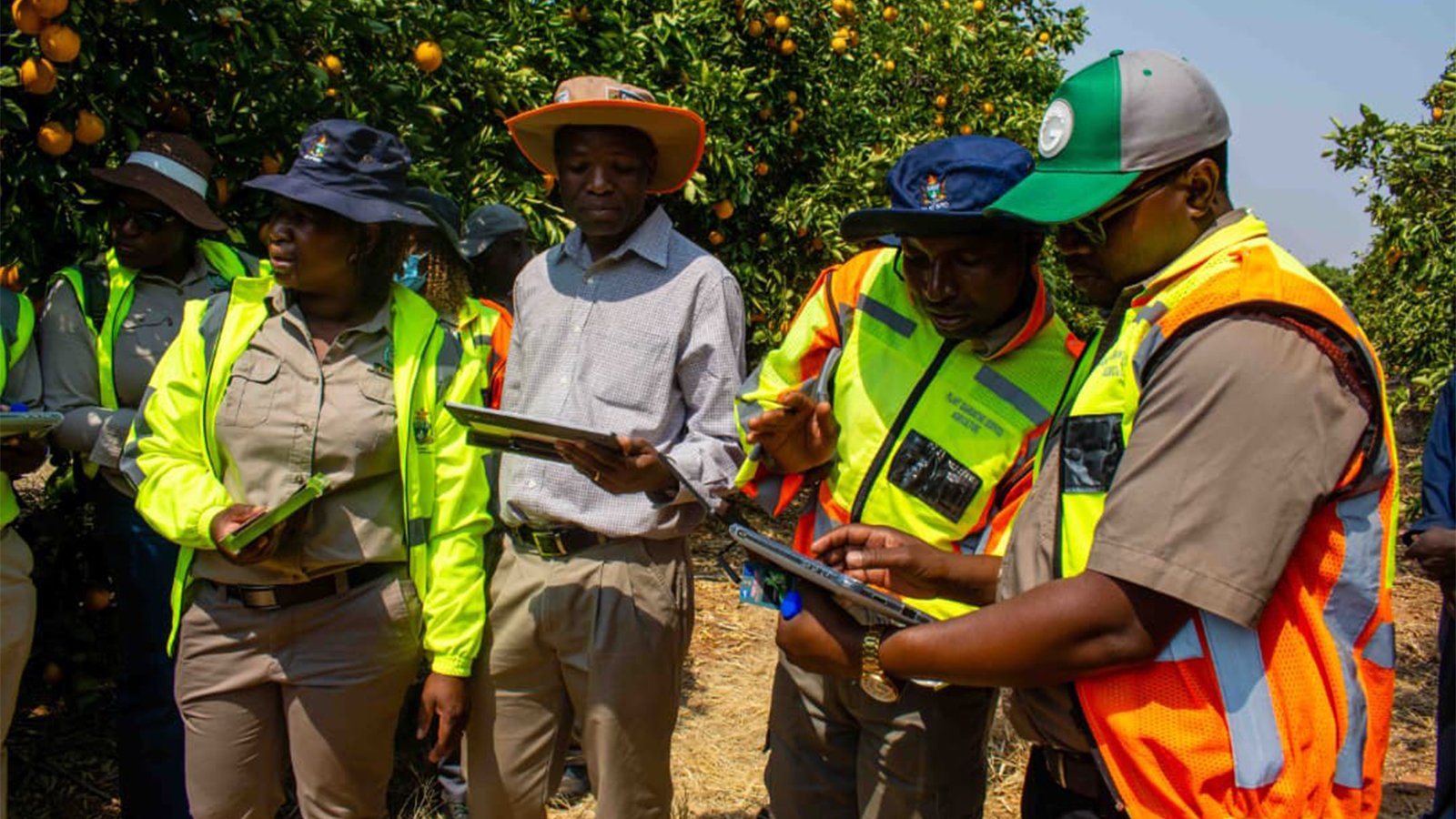 Zimbabwe receives 46 tablets to strengthen crop pest surveillance