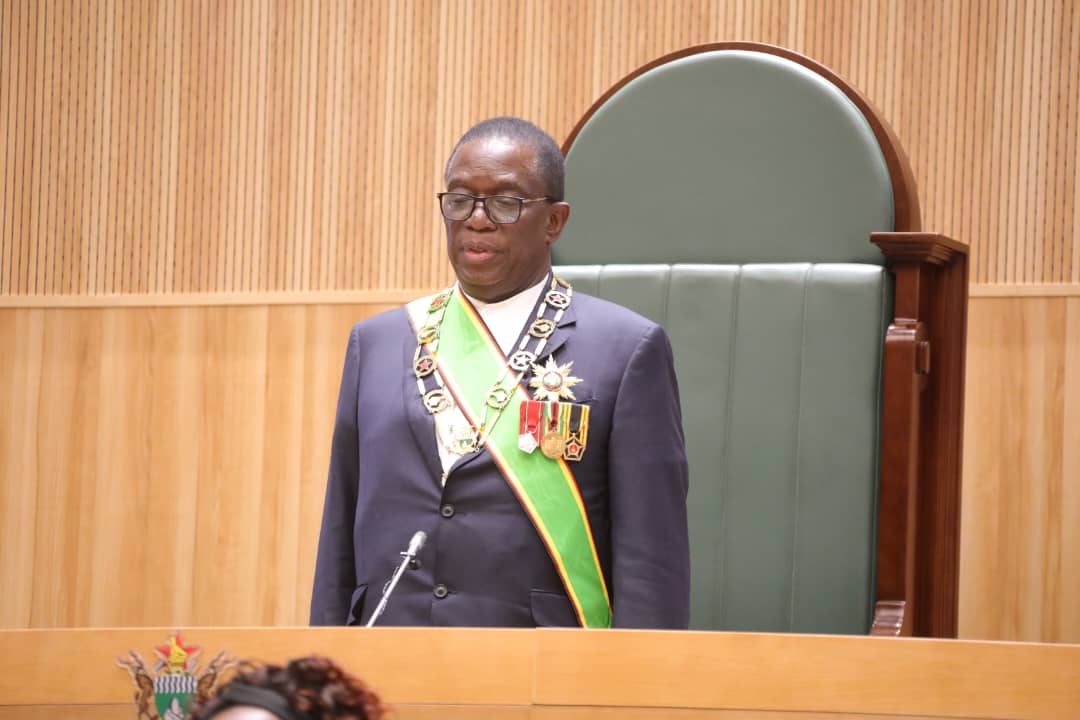 President Mnangagwa