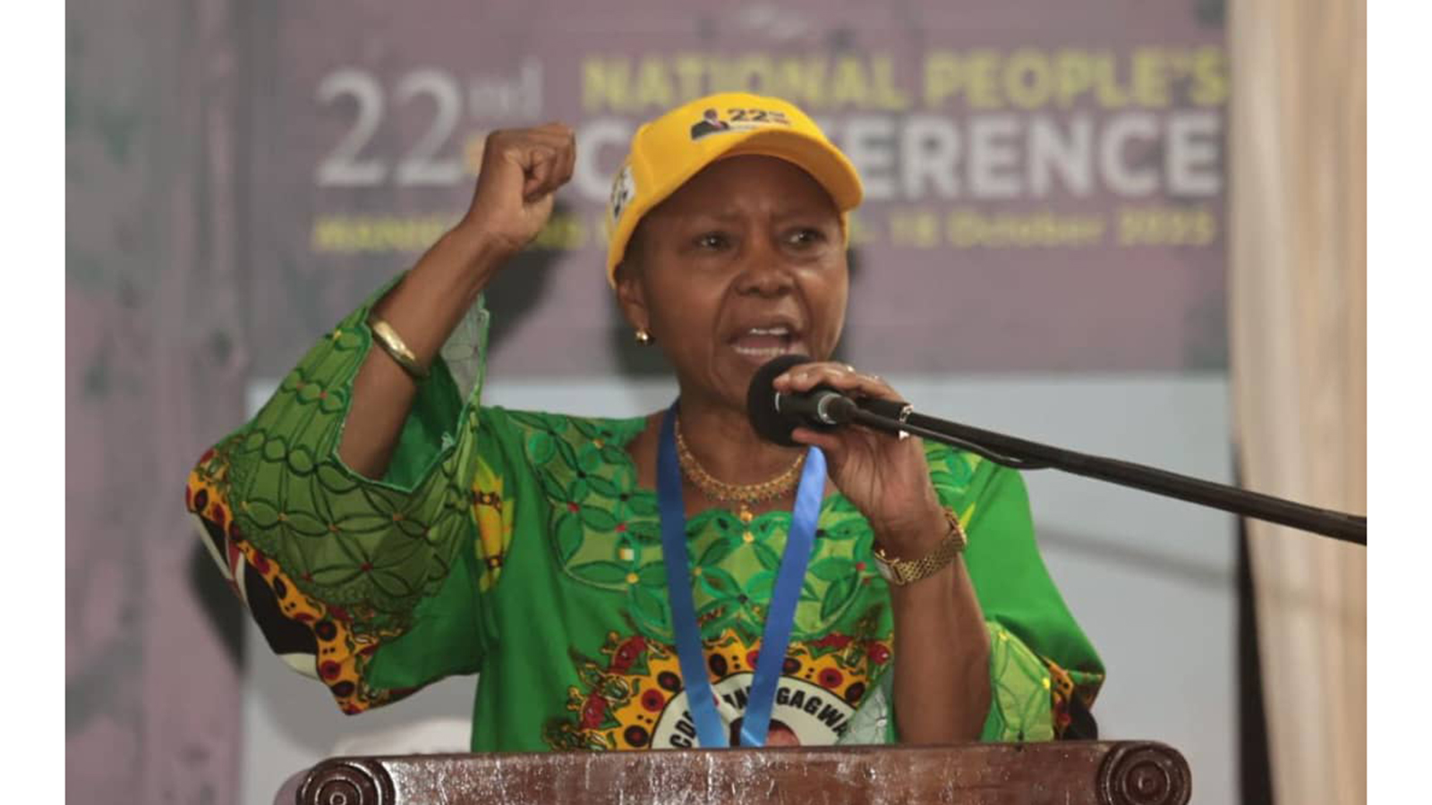 Indaba evaluates progress: Muchinguri-Kashiri