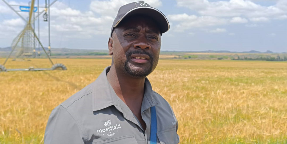 Joint Ventures revolutionise Zimbabwe’s agricultural sector
