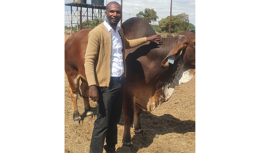 Mr Tonderai Magaya with one of his breeding bulls