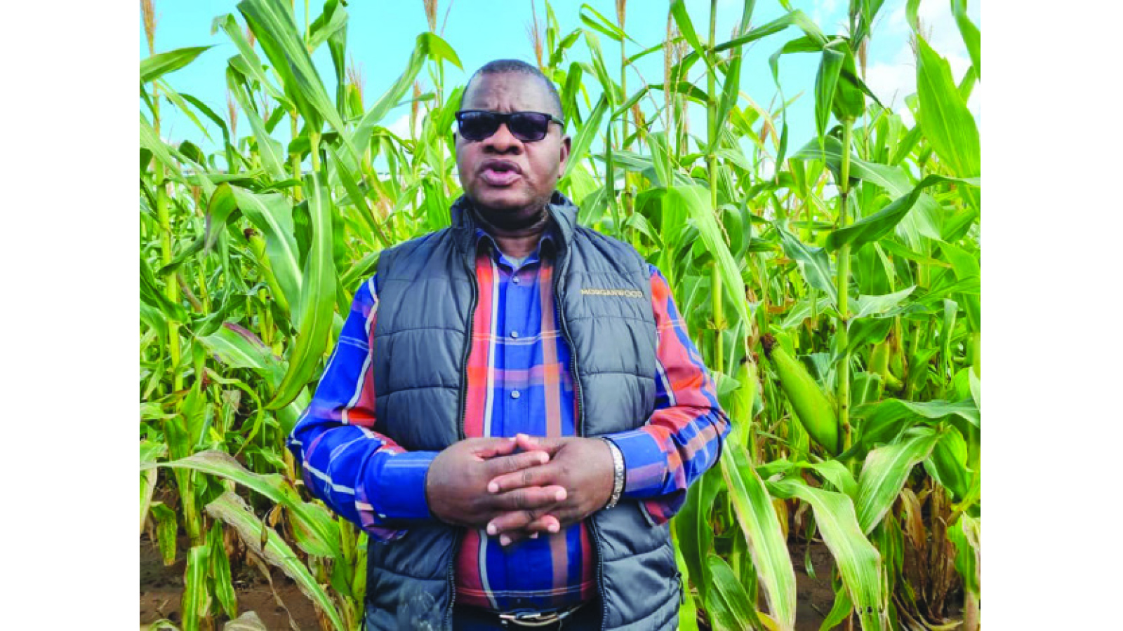 Digital platform to curb abuse of inputs