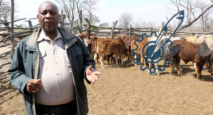 Resilience sees Zimbabwe through drought shocks