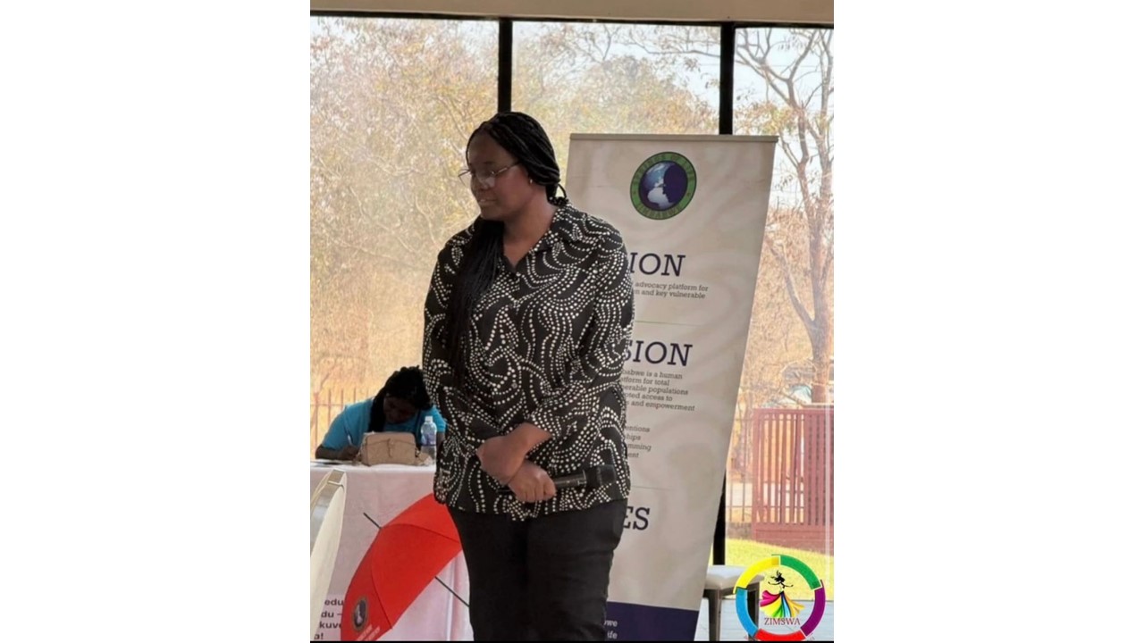 ZIMSWA applauds stakeholders efforts toward decriminalising sex work