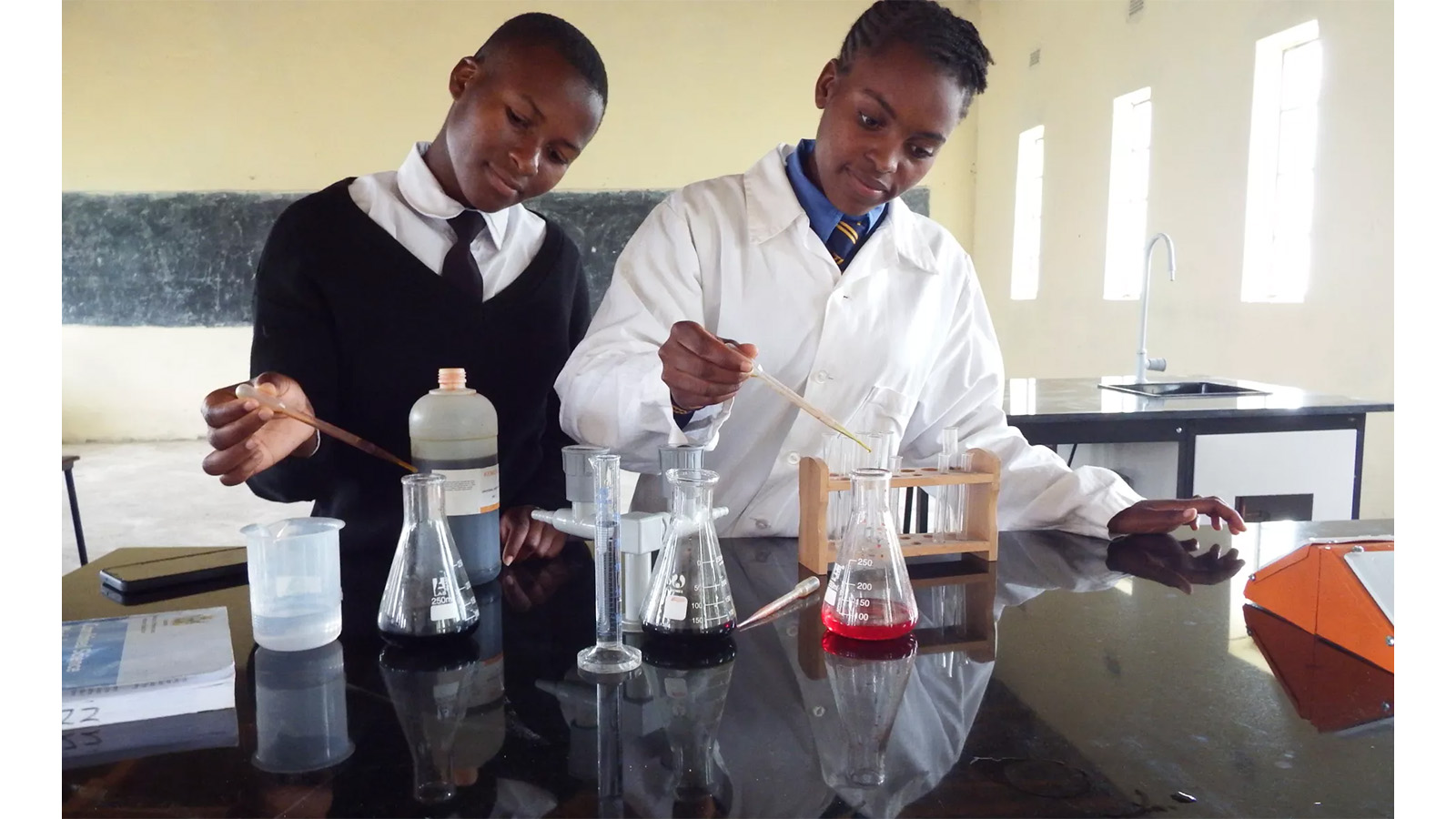 STEM: Girls closing the gap, shaping Zim’s future